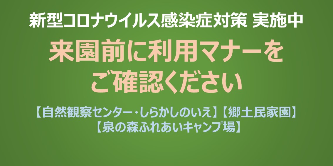 泉の森 やまとナビ Navi 神奈川県大和市のスポーツ よか みどり情報サイト